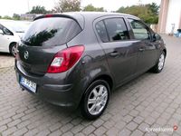 Obraz 3