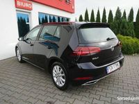 Obraz 3