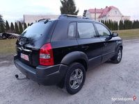 Obraz 3