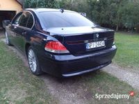 Obraz 3