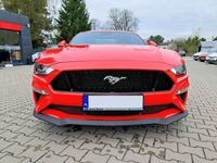 używany Ford Mustang Salon Polska * Jak nowy VI (2014-)