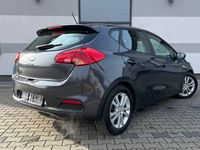 Obraz 3