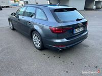 Obraz 3