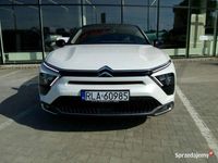 Obraz 3