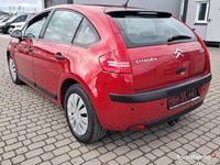 Obraz 3