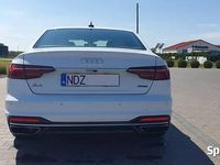 Obraz 3
