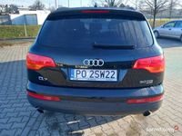 Obraz 3