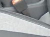 Obraz 3