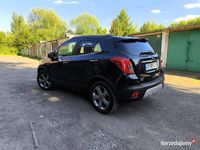Obraz 3