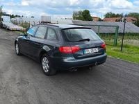 Obraz 3