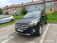 Używany Ford Escape 2019 SUV