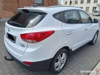 Obraz 3