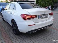 Obraz 3
