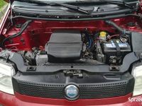 Używany Fiat Panda 2005 Bordowy Hatchback