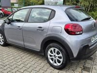Obraz 3
