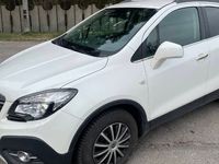 Obraz 1