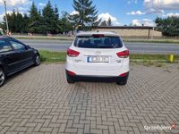 Obraz 3