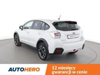 Obraz 3