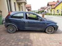Obraz 3