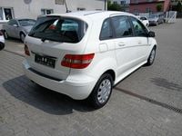 Obraz 3