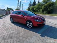 Obraz 3