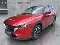 Obraz 1
