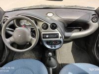 używany Ford Ka 1.3 benzyna 2004