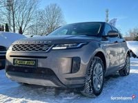 Używany Land Rover Range Rover evoque 2019 Złoty SUV