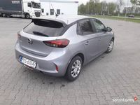 Obraz 2