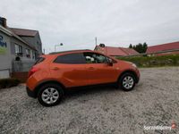 Obraz 2