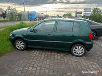 Obraz 3