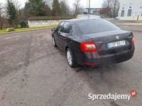 Obraz 3