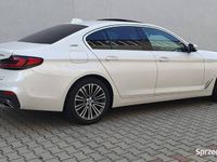 Obraz 3