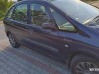 Obraz 3