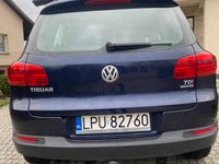 Obraz 3