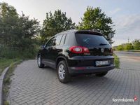 Obraz 3