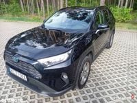 Obraz 1