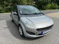 Obraz 3