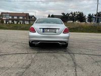 Obraz 3
