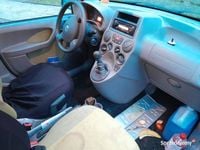 używany Fiat Panda 1,2 Elektr. Panorama dach 2005 rok