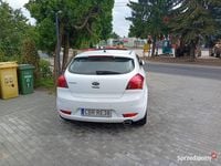 Obraz 3