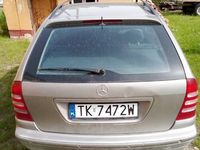 Obraz 3