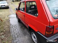 Obraz 3