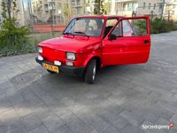 Obraz 1
