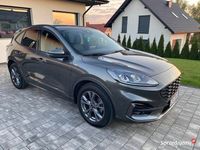 używany Ford Kuga mk3 22r ST Line 51 tys km 1,5 benzyna 150km