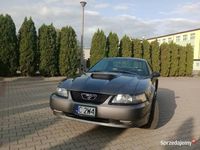 używany Ford Mustang GT 4.6 v8. Super stan