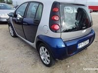 Obraz 3