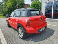 Używany Mini Countryman 90 KM (66 kW) 2011 Czerwony SUV