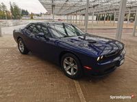 używany Dodge Challenger 3.6 V6 SXT 2015r.