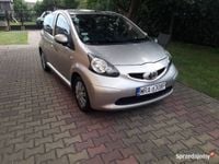 Obraz 3